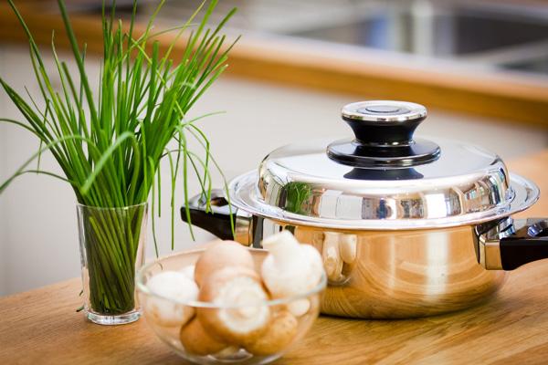 Preparation des aliments simple cuire sous vide